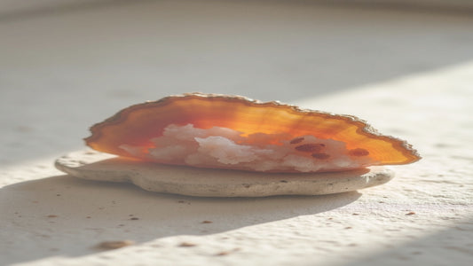 The Complete Everyday Guide to Tree Agate: Meaning and Uses