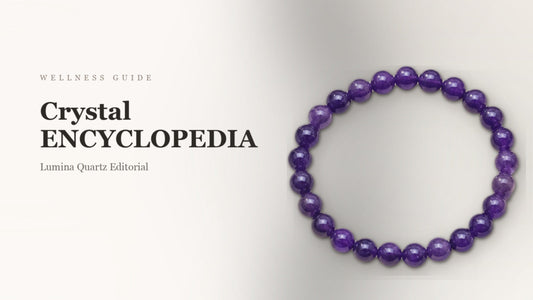 Crystal Encyclopedia: A Complete Guide to Amethyst, Rose Quartz, Black Obsidian & More