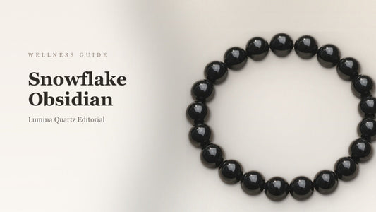 Snowflake Obsidian Meaning: A Guide to This Grounding Crystal crystal guide cover
