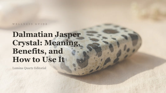 Dalmatian Jasper Crystal: Meaning, Benefits, and How to Use It